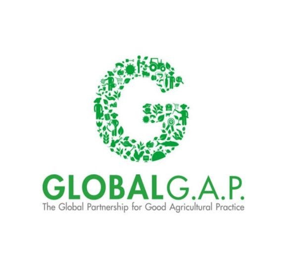 Global GAP Certified
