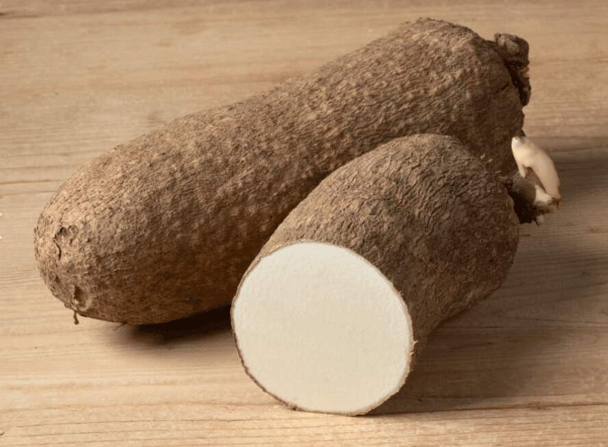 Yam (Dioscorea spp.): 
