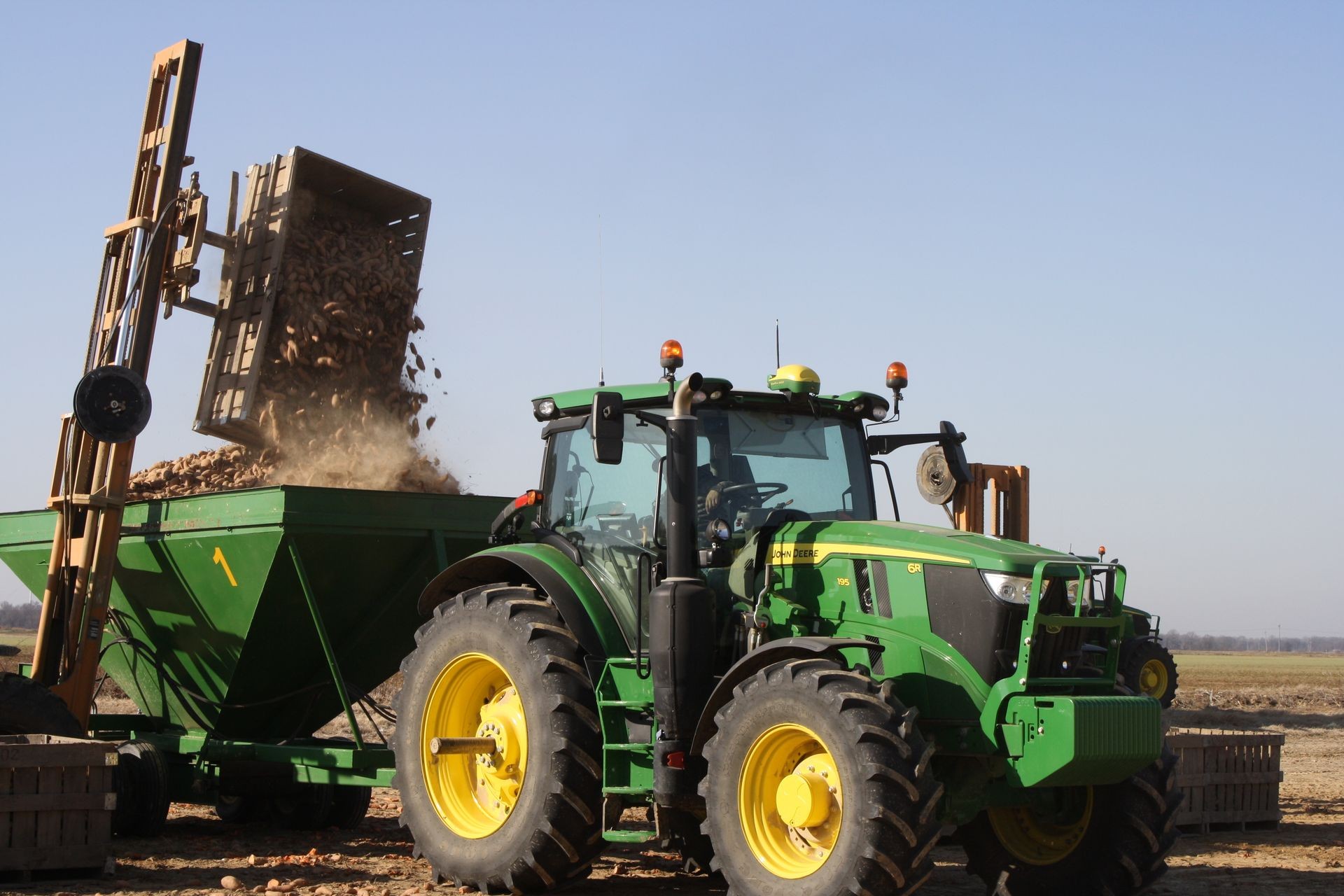 Transplanting